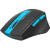 Mouse A4Tech FG30  Gaming Wireless 2.4GHz Optic 2000 dpi Negru / Albastru