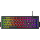 HAVIT Havit KB866L, Tastatura Mecanica  Gaming,Iluminare RGB, USB, Cu fir, Negru