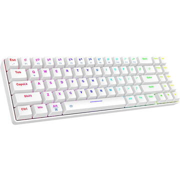 Tastatura Wireless mechanical keyboard Dareu EK871 Bluetooth + 2.4G RGB (white)