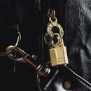 MASTER LOCK Lacat din alama solida MASTER LOCK 115EURD, corp 15mm, clasa securitate 2/10, cheie