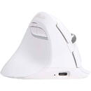 DeLux Wireless Vertical M618ZD  left-handed white