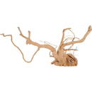 Korzeń japoński Spider Wood 50-60 cm