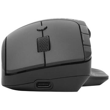 Mouse Wireless mouse Delux M913DB 2.4G (black)