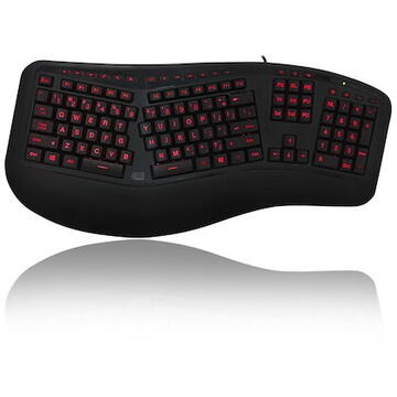 Tastatura Adesso Tru-Form 150 Ergonomic Keyboard with 3-Color Illuminated designed and ergonomic split, USB