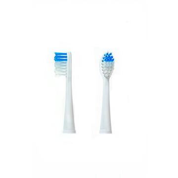 Camry Toothbrush set for CR 2158