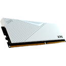 Adata XPG Lancer 16GB DDR5 5600MHz CL36 Single-Kit