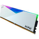 Adata XMP Lancer RGB DDR5 32GB 6000 CL30 Single-Kit white