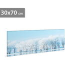 Tablou decorativ cu LED - 70 x 30 cm - peisaj de iarnă