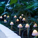 Garden of Eden Garden of Eden - Lampă solară LED 12 buc. ciuperci mini alb cald 24 cm x 4 m