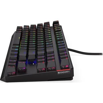 Tastatura ENDORFY Tastatura, Iluminare  RGB,Negru USB, Cu fir