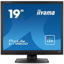 Iiyama E1980D-B1 LED 19" 5ms VGA DVI