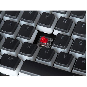 Tastatura ENDORFY GAMING OMNIS PUDDING KAILH RED RGB