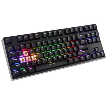 Tastatura SAVIO Rampage, Mecanica, Gaming Wireless, Switch Outemu Brown, iluminare RGB