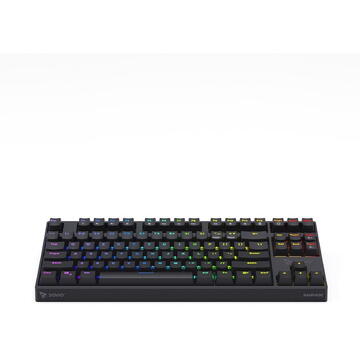 Tastatura SAVIO Rampage, Mecanica, Gaming Wireless, Switch Outemu Brown, iluminare RGB
