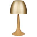 2R 2074 TABLE LIGHT Е27 GOLD