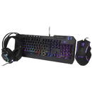 BLOW BLOW 84-218 keyboard Mouse included USB QWERTY Set Black USB cu fir