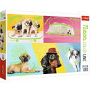 Trefl Puzzle 1000 elements Neon Color Line - Cool dogs