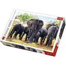 1000 Elements African Elephants