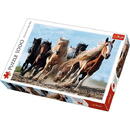 Puzzles 1000 elements Galloping Horses