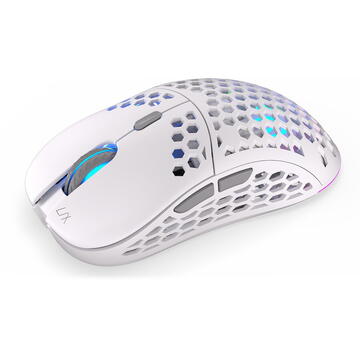 Mouse Endorfy Maus LIX Wireless Onyx, Alb, 16000 dpi, 6 butoane