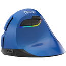 DeLux Wireless Vertical Mouse Delux M618Mini BT4.0 + 2.4Ghz 4000DPI RGB ,Albastru