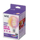 Wiz WI-FI BLE 40W G95 E27 822-65 RGB CL 1PF