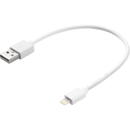 Sandberg Sandberg 441-19 USB>Lightning MFI 0.2m White