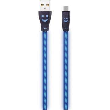 2GO 795535 1 m, USB B, Micro-USB Albastru