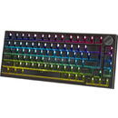 mecanica  iluminare RGB YKB 30 Negru