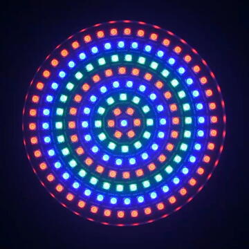 Ibiza Light PAR LED RGB 175 LED-URI MATRIX