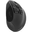 Mouse wireless Euphonie, 2400dpi, USB/Bluetooth, Negru