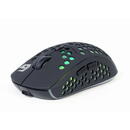 Mouse gaming WRX500, Wireless, RGB, Laser, 1600dpi, Negru