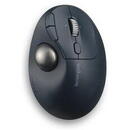 Kensington Mouse wireless, ProFit Ergo TB550 Trackball, 1600dpi, optic, fara fir, Negru