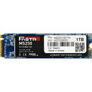 Mega Fastro 1TB  M.2 MS250 Series PCI-Express NVMe intern
