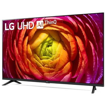 Televizor LED LG 109 cm (43") 43UR74006LB Ultra HD 4K Smart TV WiFi CI+