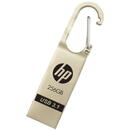 HP 256GB  USB 3.1