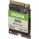 Kioxia BG5 Series 512GB M.2 2230 PCIe4.0 x4 NVMe