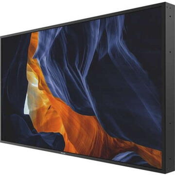 Philips 55BDL6002H H-Line - 55" Class (54.6" viewable) LED display - Full HD