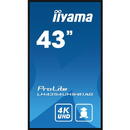Iiyama LH4354UHS-B1AG 43 inch 3840x2160 pixeli Negru
