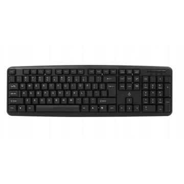 Tastatura Accura ACC-K1411, Cu fir,  USB, Layout US, Negru