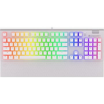 Tastatura ENDORFY Omnis OWH P. Kailh BL, RGB, Cu fir, USB, Layout US, Alb