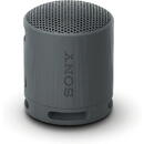 Sony SRS-XB100, Bluetooth 5.3, Autonomie 16 ore, Negru