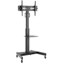 Mobile TV stand, 32-65 inches, 35 kg, tiltable