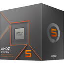 AMD AMD CPU RYZEN 5 8500G 100-100000931BOX