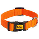 DINGO DINGO Energy orange - dog collar - 37-61 cm