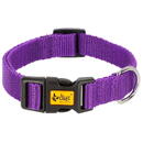 DINGO Energy purple - dog collar - 24-39 cm