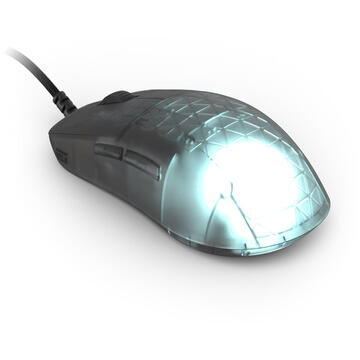 Mouse Endgame Gear OP1 RGB Gaming Maus - Dark Frost