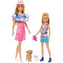 Barbie Mattel Barbie Family & Friends Stacie & Barbie 2-Pack Doll