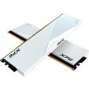 ADATA DDR5 - 64GB - 6000 - CL - 30 (2x 32 GB) dual kit, RAM (white, AX5U6000C3032G-DCLAWH, Lancer, INTEL XMP)