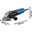 Bosch angle grinder GWS 17-125 HP Professional (blue/black, 1,700 watts)